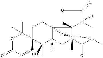 andibeninCweb