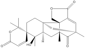 andibeninweb