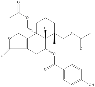 astellolideBweb