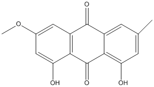 physcionweb