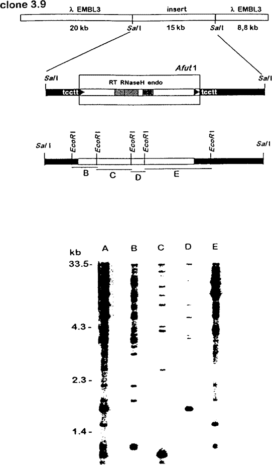 fig2fumig1