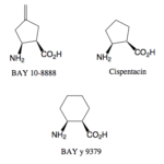 beta aminosaurin