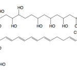 nystatin