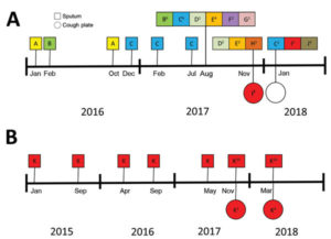 Genotyping results of Aspergillus fumigatus isolates in sputum cultures and on cough plates obtained from 2 participants with cystic fibrosis demonstrating aerosol formation of A. fumigatus, the Netherlands, 2015–2018